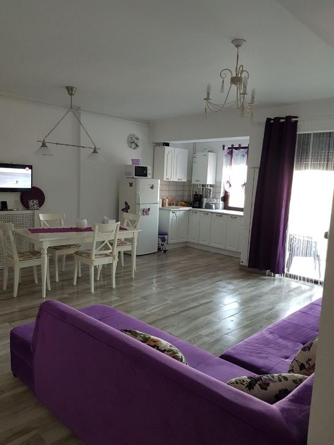 Apartament Andy Mamaia Nord 30 M De Plaja Năvodari Kültér fotó